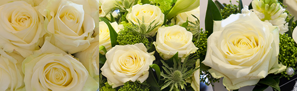 avalanche rose graphic